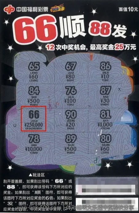 中国体育彩票大乐透与国际彩种对比
