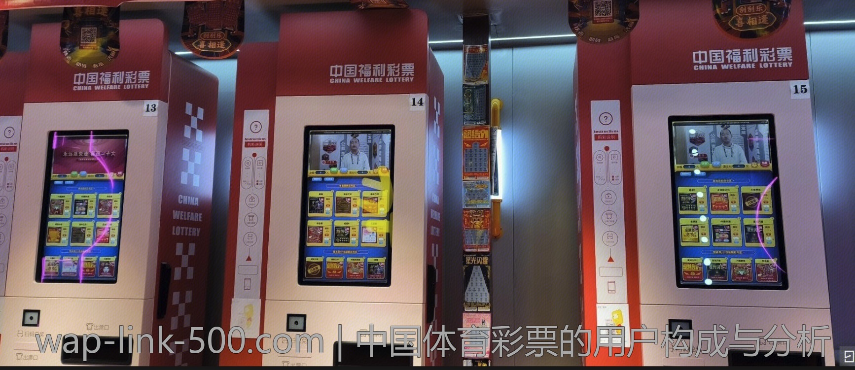 中国体育彩票的用户构成与分析